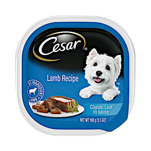 CESAR - Filetes de comida húmeda suave para perros adultos en salsa con  sabor a New York Strip, (24) bandejas de 3.5 onzas bandejas