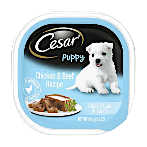 Cesar, comida húmeda para perros de fabricación simple, 37 g. Empaque de 10  unidades.